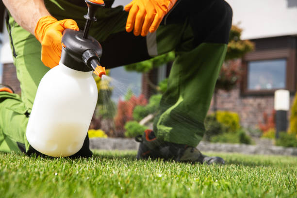 Professional Pest Control in Wapakoneta, OH