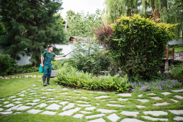 Best Best Pest Control Companies  in Wapakoneta, OH