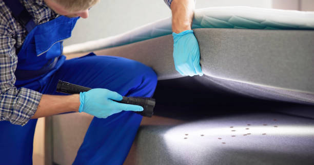 Best Pest Control Near Me  in Wapakoneta, OH